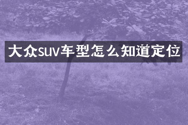 大众suv车型怎么知道定位
