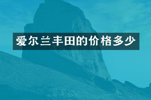 爱尔兰丰田的价格多少