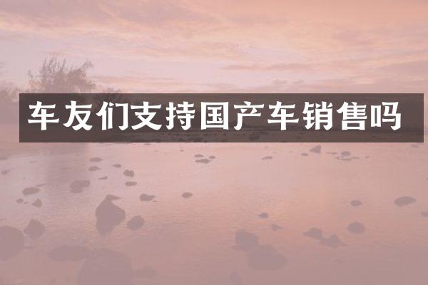 车友们支持国产车销售吗