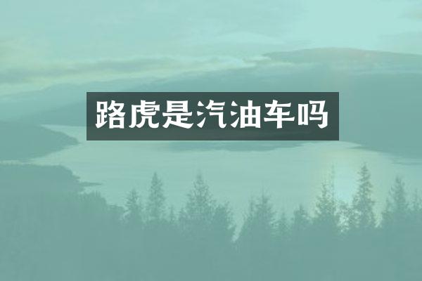 路虎是汽油车吗