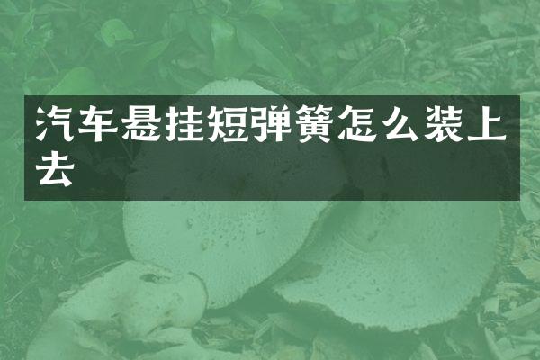 汽车悬挂短弹簧怎么装上去