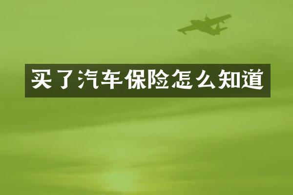 买了汽车保险怎么知道
