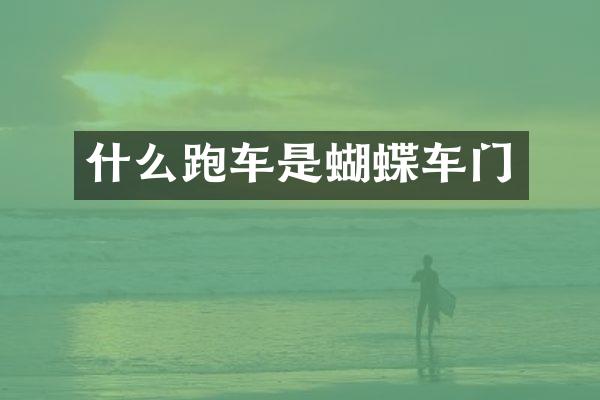 什么跑车是蝴蝶车门