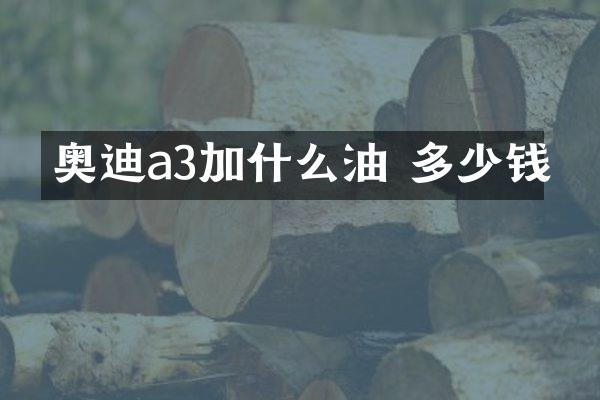 奥迪a3加什么油 多少钱
