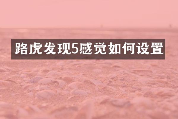 路虎发现5感觉如何设置