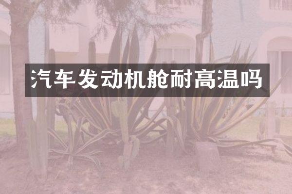 汽车发动机舱耐高温吗