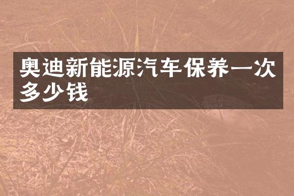 奥迪新能源汽车保养一次多少钱