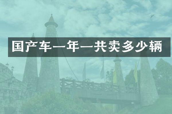 国产车一年一共卖多少辆