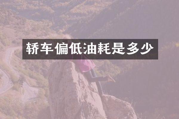 轿车偏低油耗是多少