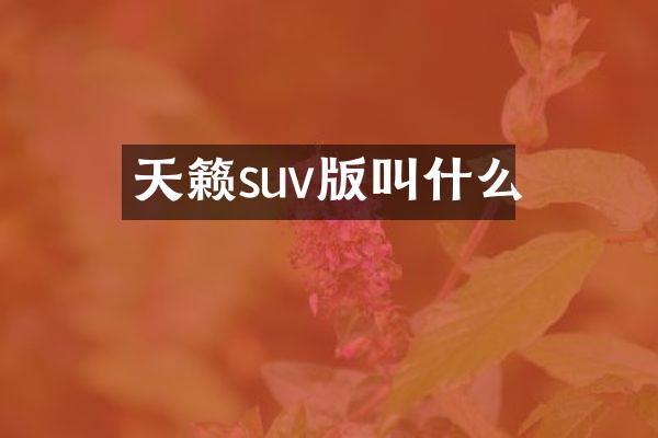 天籁suv版叫什么