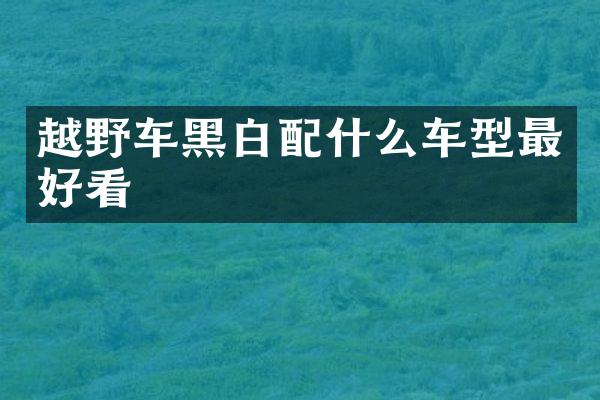 越野车黑白车型最好看