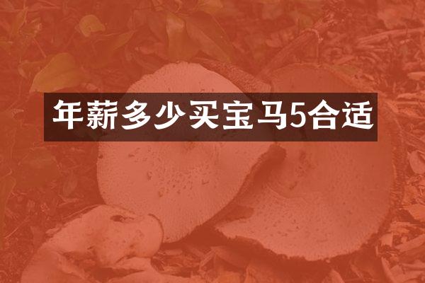 年薪多少买宝马5合适