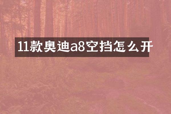 11款奥迪a8空挡怎么开