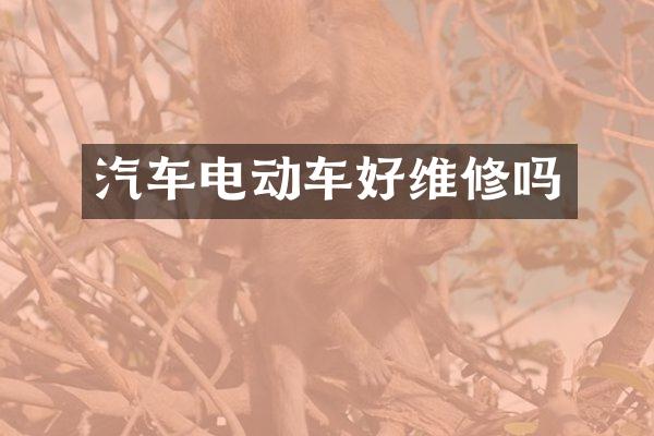 汽车电动车好维修吗