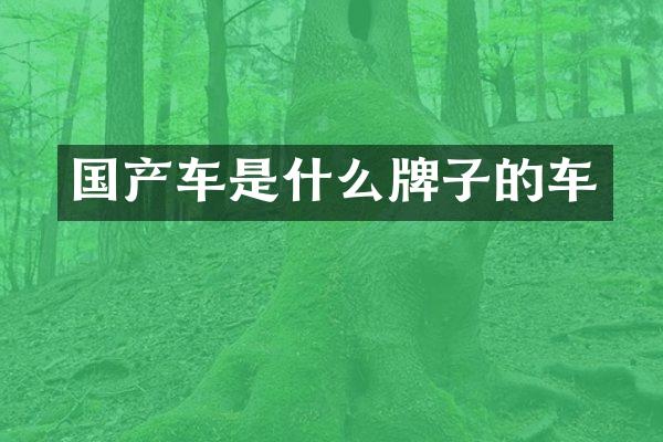 国产车是什么牌子的车