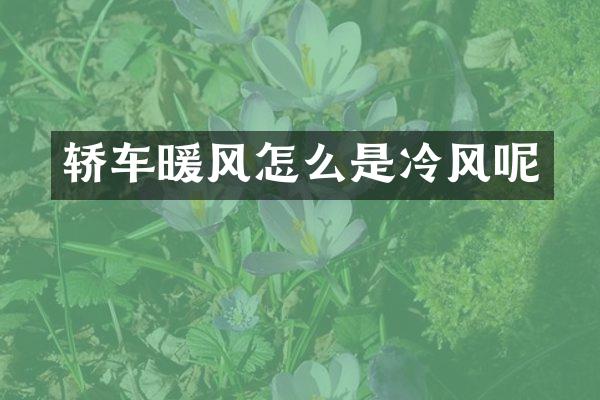 轿车暖风怎么是冷风呢