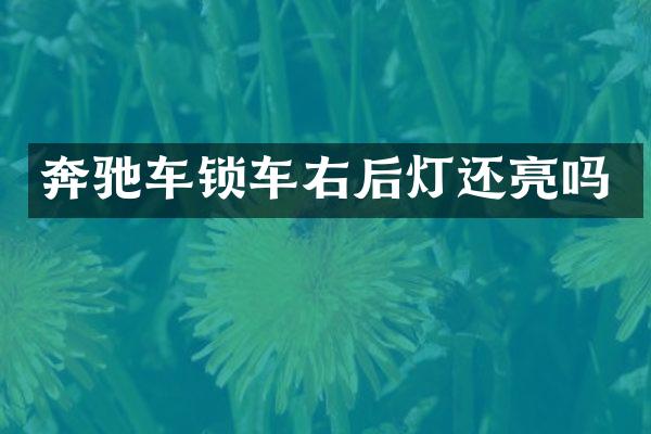 奔驰车锁车右后灯还亮吗