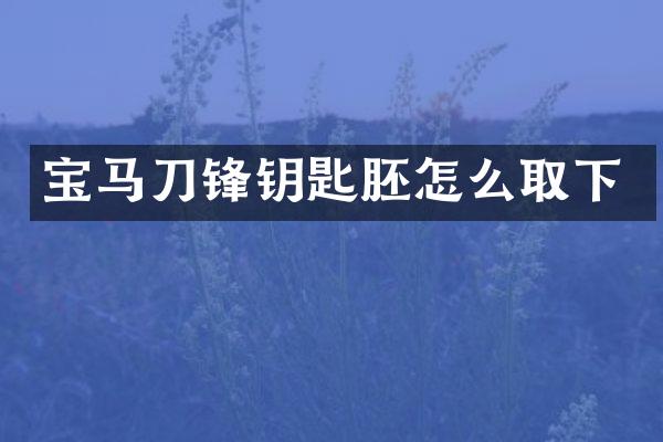 宝马刀锋钥匙胚怎么取下