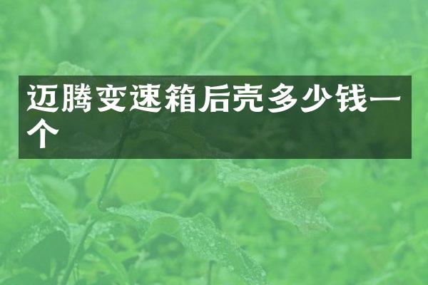 迈腾变速箱后壳多少钱一个