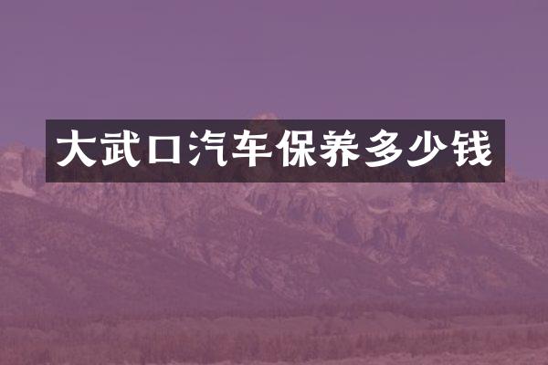 大武口汽车保养多少钱