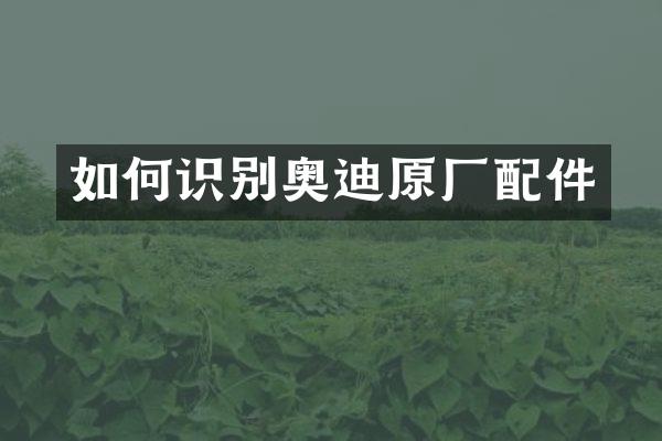 如何识别奥迪原厂配件