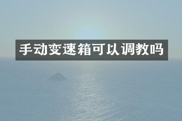 手动变速箱可以吗
