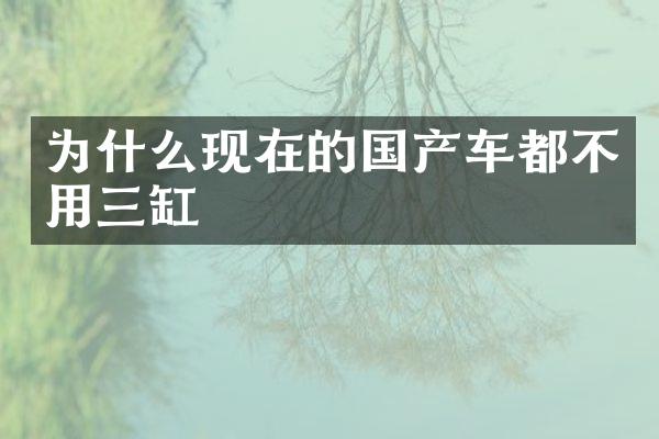 为什么现在的国产车都不用三缸