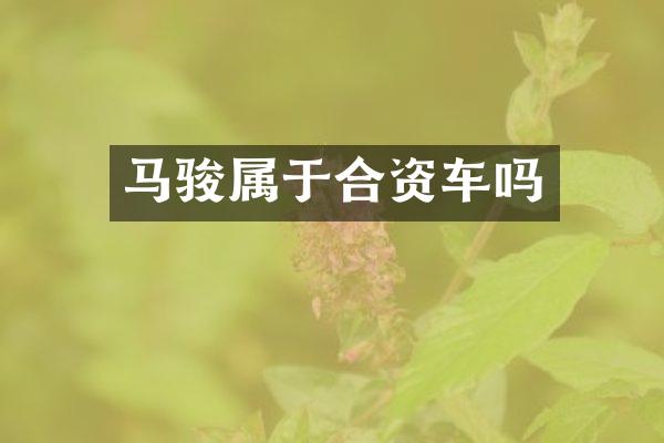 马骏属于合资车吗