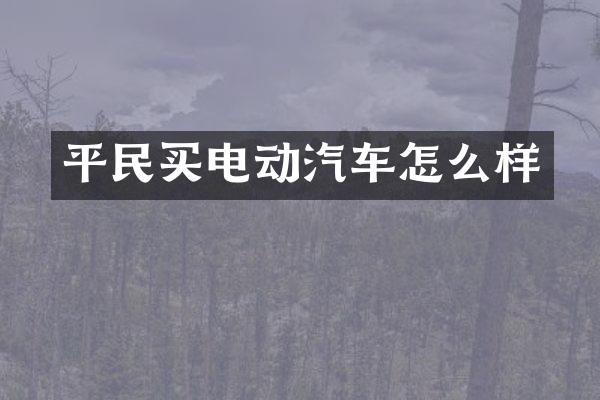平民买电动汽车怎么样