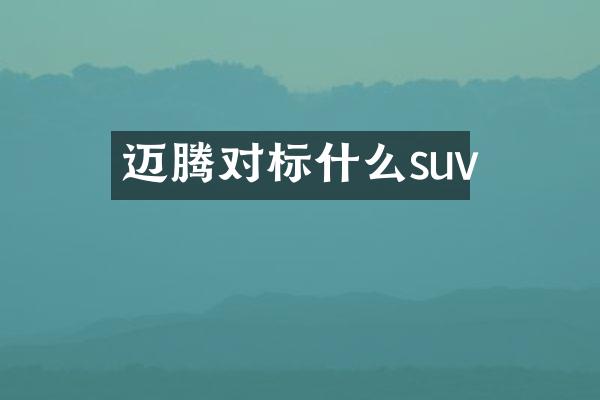 迈腾对标什么suv