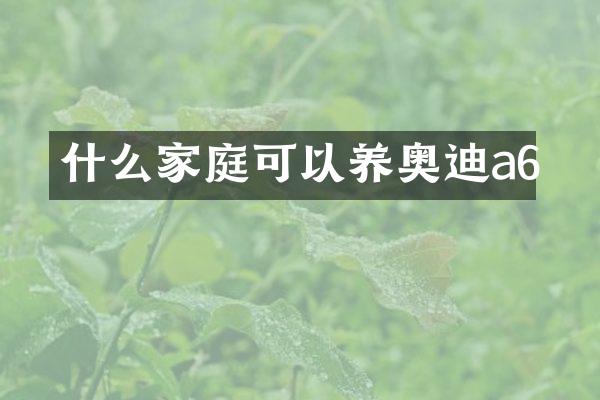什么家庭可以养奥迪a6