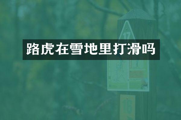 路虎在雪地里打滑吗