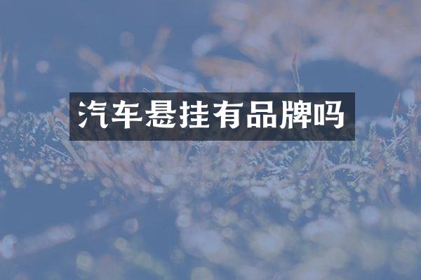 汽车悬挂有品牌吗