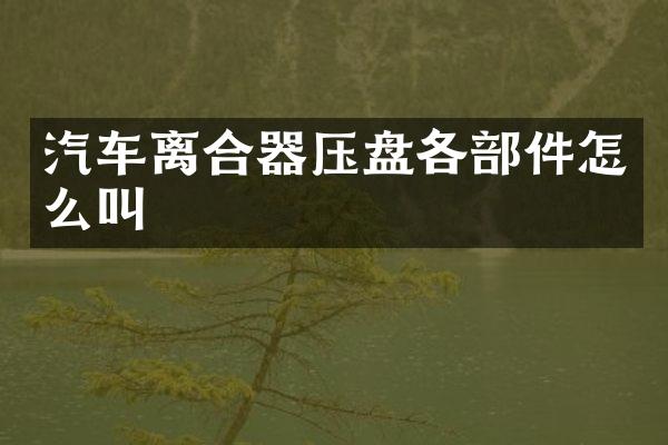 汽车离合器压盘各部件怎么叫
