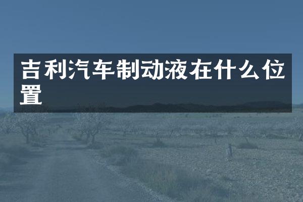 吉利汽车制动液在什么位置