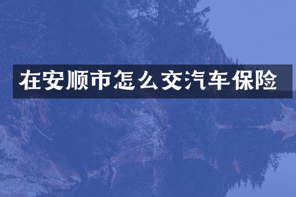 在安顺市怎么交汽车保险