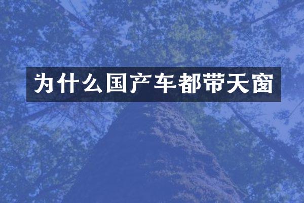 为什么国产车都带天窗