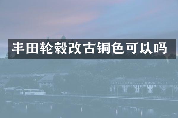 丰田轮毂改古铜色可以吗