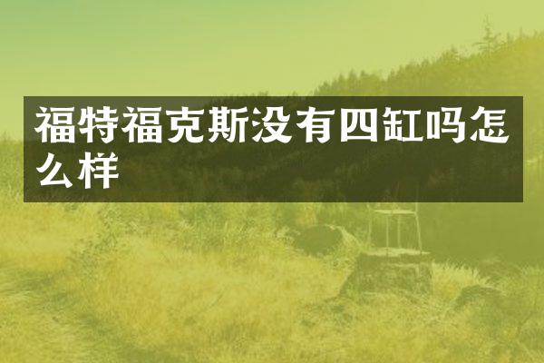 福特福克斯没有四缸吗怎么样