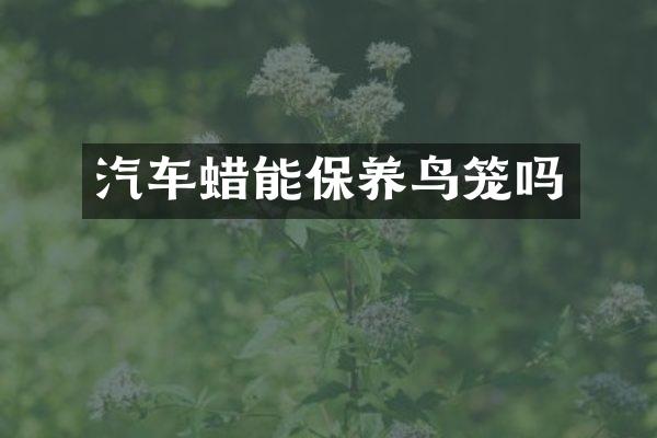 汽车蜡能保养鸟笼吗