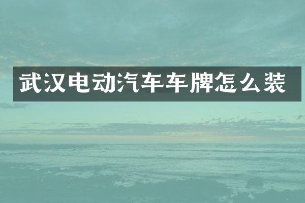 武汉电动汽车车牌怎么装