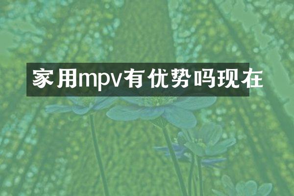 家用mpv有优势吗现在