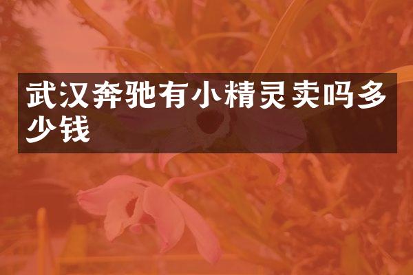 武汉奔驰有小精灵卖吗多少钱