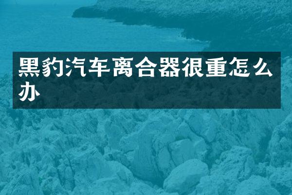 黑豹汽车离合器很重怎么办