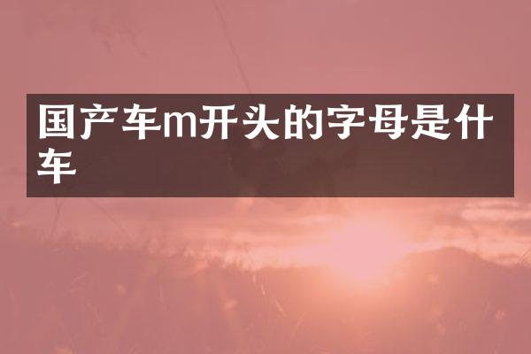 国产车m开头的字母是什么车