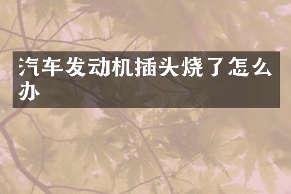 汽车发动机插头烧了怎么办