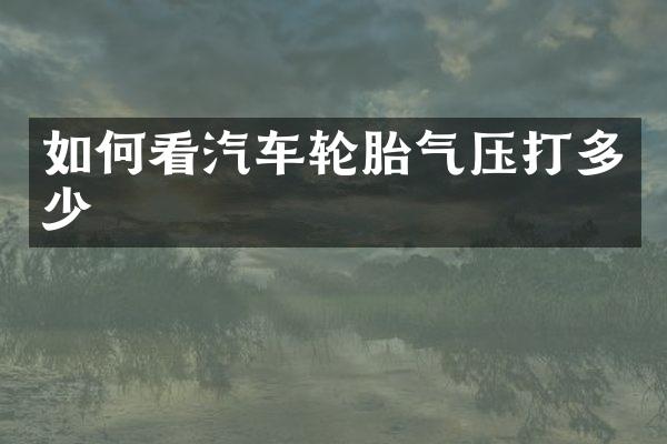 如何看汽车轮胎气压打多少