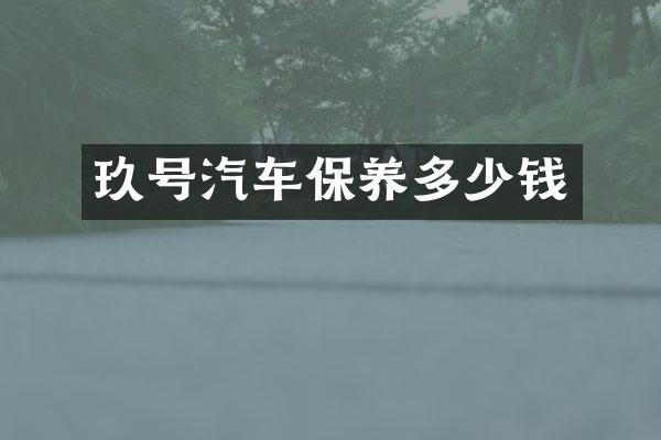 玖号汽车保养多少钱