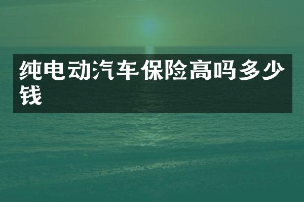 纯电动汽车保险高吗多少钱