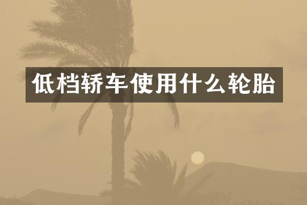 低档轿车使用什么轮胎